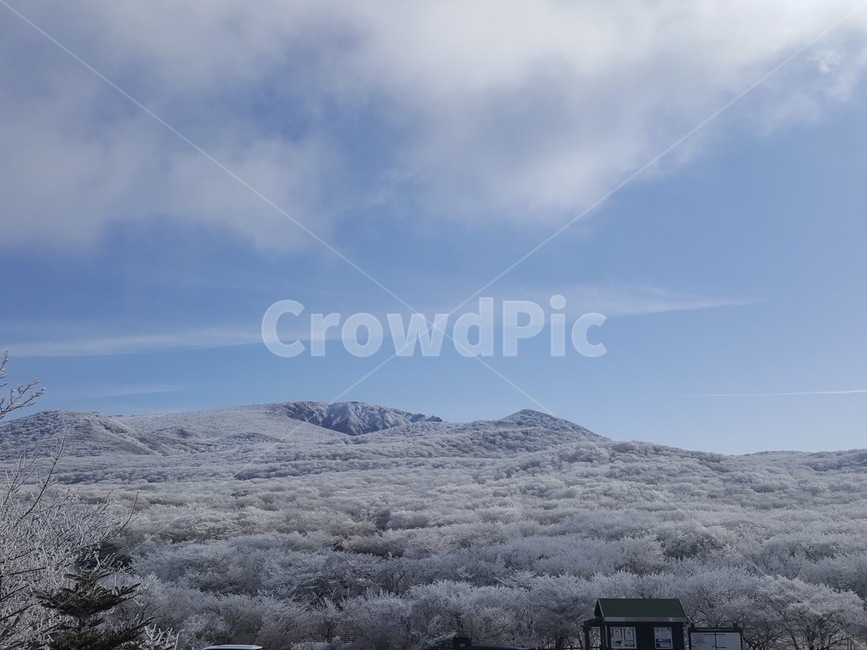 한라산,겨울,눈,제주,자연,하늘,겨울,계절,winter,season,자연,풍경,nature,landscape,tree,나무,plant,식물,outdoors,옥외
