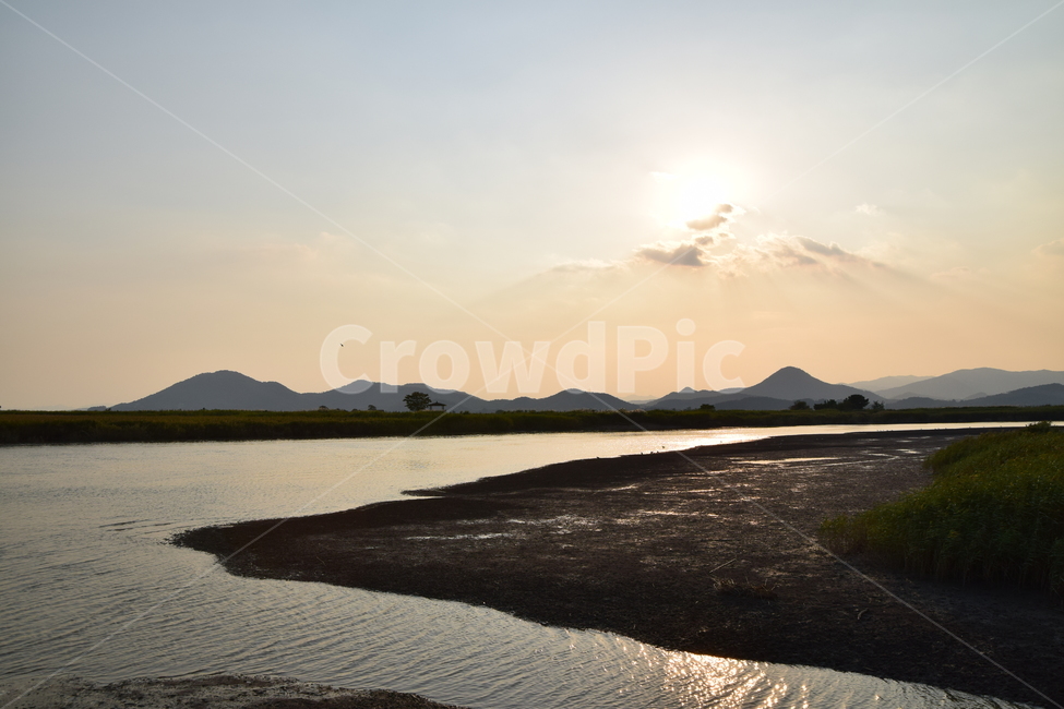 순천만,갈대,갈대숲,일몰,순천,가을,계절,fall,autumn,season,land,땅,nature,자연,outdoors,옥외