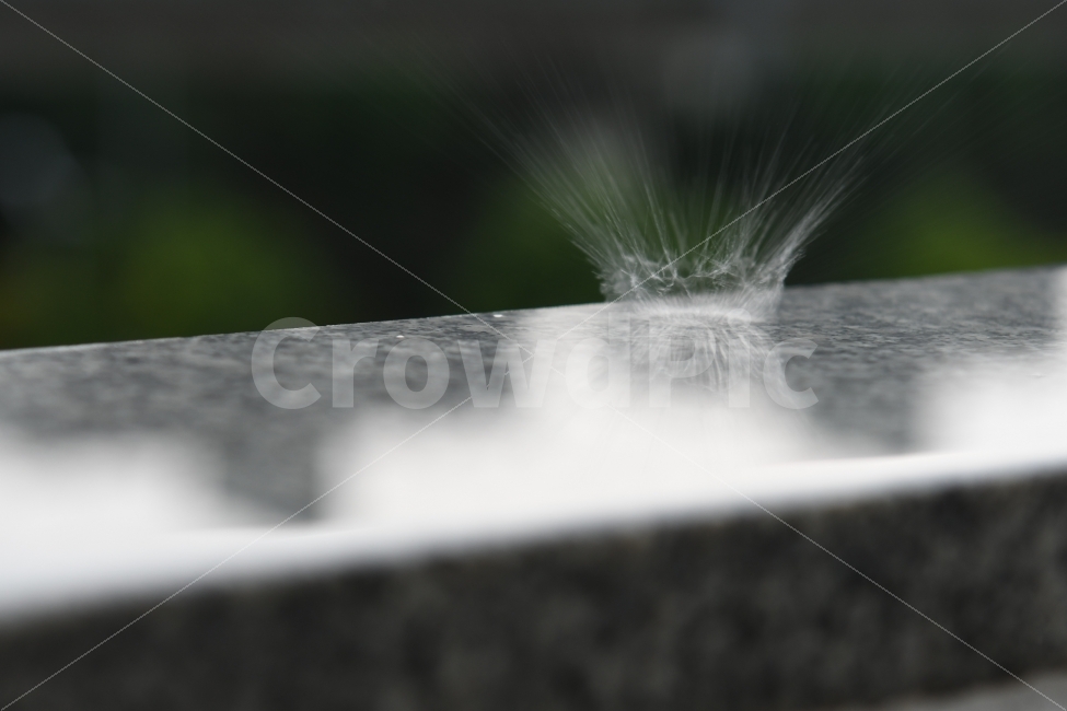 shower,rain,water drop,Capture the moment,milk,water splash,raindrop