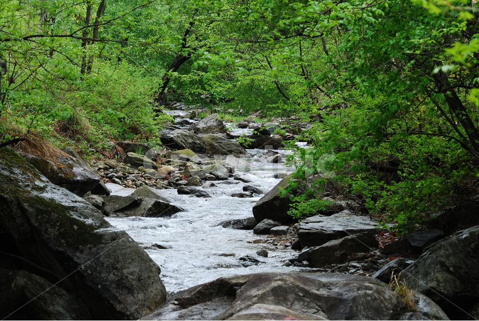 계곡,힐링,물,명산,시원함,cool,valley,healing,water,summer,휴식,쉼,맑은,흐르다,flow,mountain,landscape,nature,자연풍경,자연,풍경,계절,시즌,rest,한국자연풍경,여름,녹음,숲,신록,자연,풍경,nature,landscape,한국자연풍경,한국자연경관,korea nature landscape,outdoors,옥외,creek,작은 만,stream,흐름