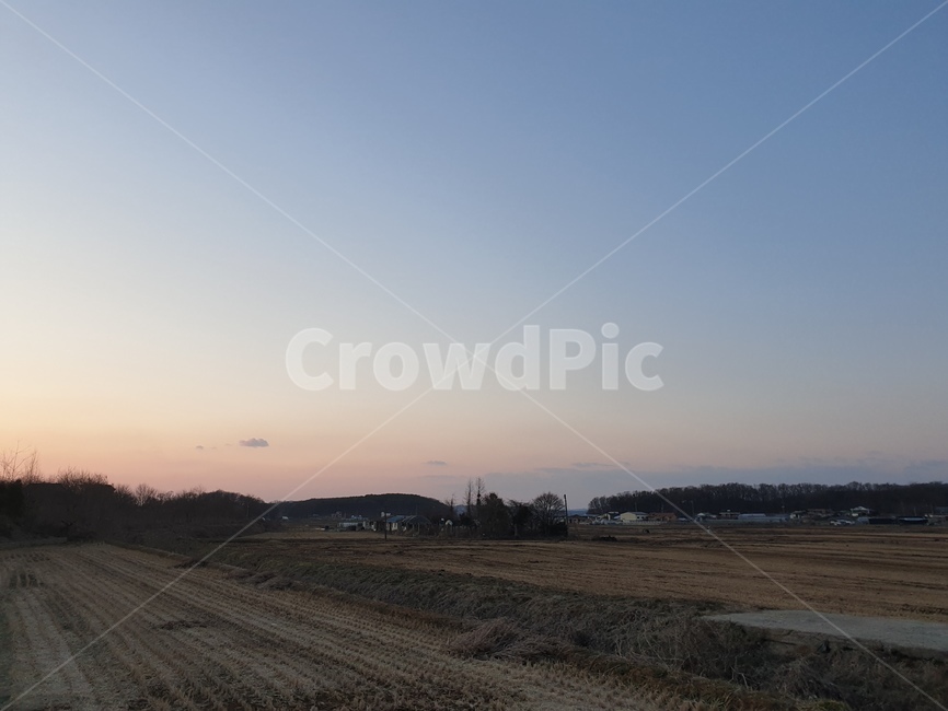 풍경,하늘,나무,구름,노을,자연,풍경,nature,landscape,outdoors,옥외