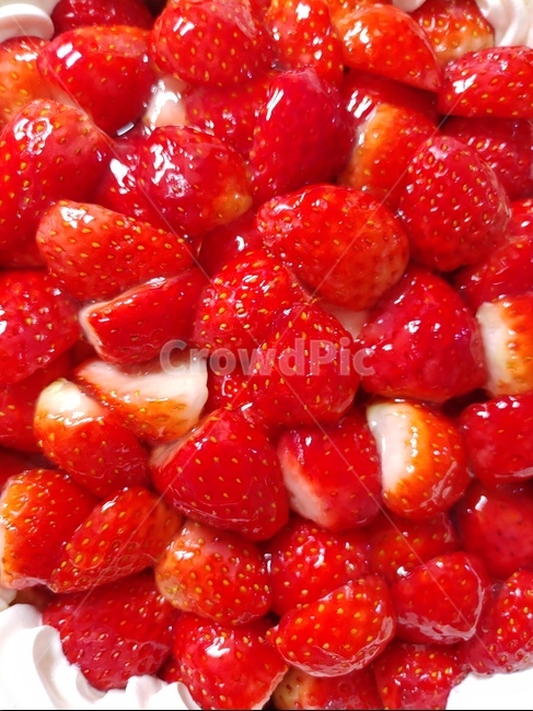 딸기,과일,strawberry,fruit,생딸기,food,음식,plant,과일,열매,fruit