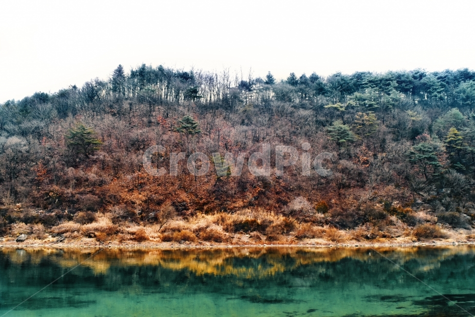 호수,산,자연,풍경,겨울,반영,나무,숲,nature,자연,풍경,nature,landscape,outdoors,옥외