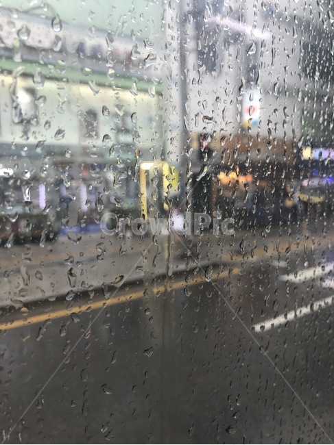 비,흐림,쌀쌀한날씨,버스안,촉촉,비,비오는날,rain,rainy