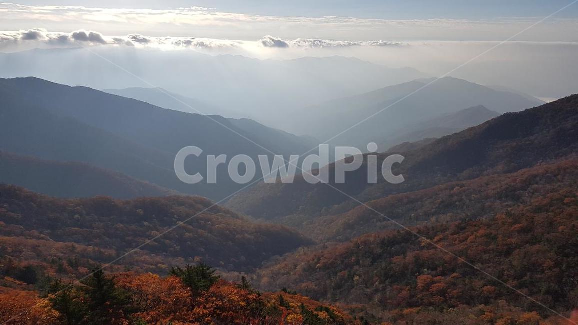 지리산,가을,운해,운무,단풍,능선,가을,계절,fall,autumn,season,자연,풍경,nature,landscape,한국자연풍경,한국자연경관,korea nature landscape,outdoors,옥외,mountain,산,mountain range,산맥