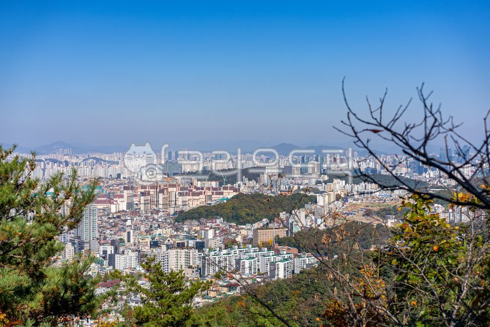 관악산,연주대,한국자연경관,자연,산행,등산로,등산,풍경,도시풍경,건물,도시,서울도심풍경,city,한국도시풍경,하늘,산,옥외,과천
