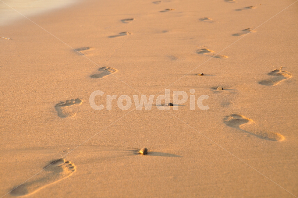 Beach,footprint,ocean,sandy beach,step