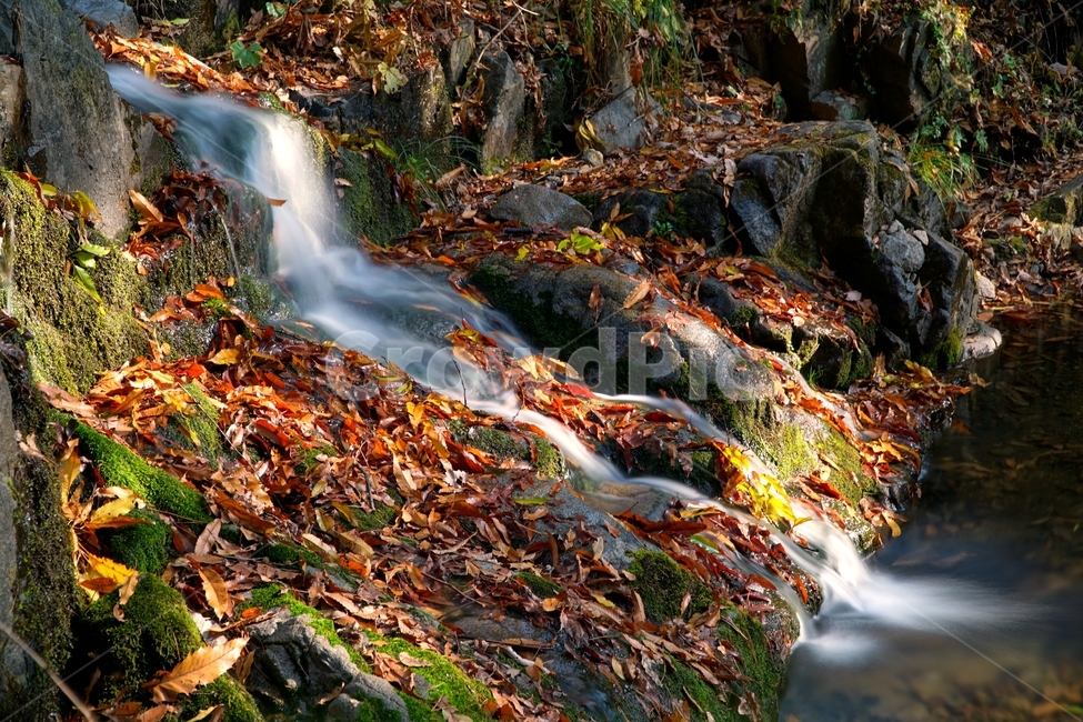 계곡,무지랭이계곡,경기도,경기북부,의정부,자연,가을,autumn,fall,11월,낙엽,물,water,나무,바위,돌,암석,tree,nature,rock,valley,한국,한국자연,korea,november,leaves,가을,계절,fall,autumn,season,자연,풍경,nature,landscape,river,강,outdoors,옥외,waterfall,폭포