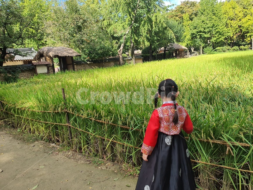 한복,아이,여자,민속촌,의복,패션,옷,의류,뒷모습,clothing,apparel,한국전통,한국문화,korean traditional,korean culture,한복,한국전통의상,hanbok,korean traditional clothes,사람,인물,인간,human,person,어린이,어린아이,child,children,kid