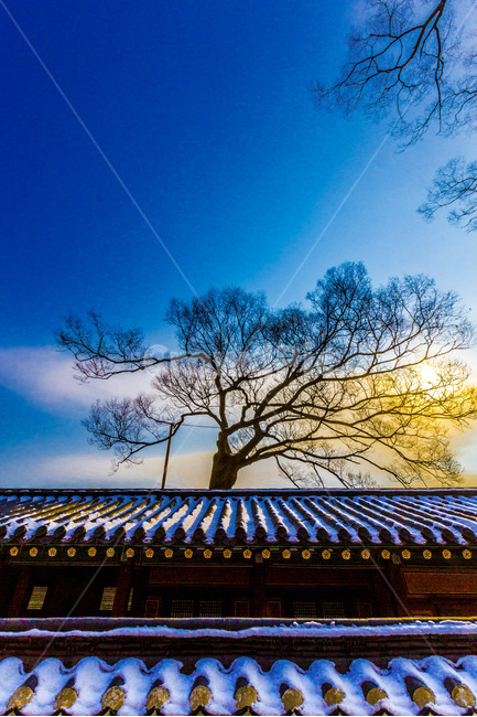 기와,퍄턴,전통,문화유산,건축,겨울,계절,winter,season,한국전통,한국문화,korean traditional,korean culture,건축물,건물외관,exterior,building,structure,architecture,construction