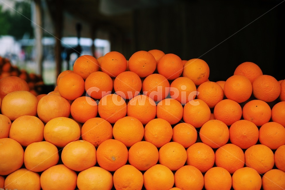 오렌지,orange,fruit,과일,감귤류과일,citrusfruit,과일,열매,fruit