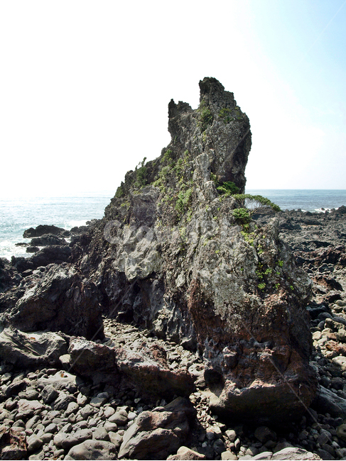 생이돌,게우지코지,해변,제주,올레6코스,올레길,서귀포시,기암괴석,자연,풍경,nature,landscape,한국자연풍경,한국자연경관,korea nature landscape,제주도,jeju,jeju island,promontory,곶,outdoors,옥외,cliff,낭떠러지