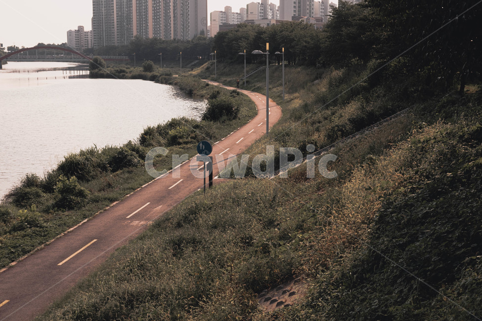강변,도로,풀,강,풍경,물,road,자연,풍경,nature,landscape