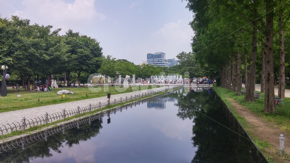 서울숲,산책,공원,나무,자연,풍경