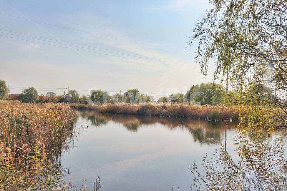 land,nature,자연,outdoors,water,호수,가을,계절,fall,autumn,season,자연,풍경,nature,landscape,땅,옥외,물