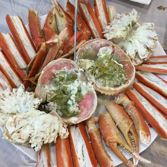 대게,해조류,꽃게,음식,바다
