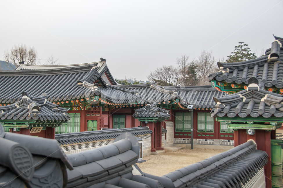 경복궁,궁전,전통,궁궐,한옥,풍경,경치,한국전통,아시아,한국,동양,고전,고궁,한국문화,한국명소,한국관광지,관광지,건축물,서울,실외,명소,문화,고건축,건축,역사,문화유산,전경,나무,버드나무,단청,단아한,기와,지붕,고풍,한국전통,한국문화,korean traditional,korean culture,랜드마크,landmark,tourist attraction,한국랜드마크,한국관광지,한국명소,korea landmark,korea tourist attraction,건축물,건물외관,exterior,building,structure,architecture,construction
