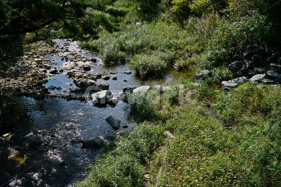 경기도,경기북부,동두천,탑동계곡,계곡,자연,한국자연,한국,korea,nature,valley,water,물,바위,돌,암석,rock,stone,tree,나무,이끼,풀,수풀,경치,scenery,scene,view,하천,시냇물,outdoors,옥외,creek,작은만,개울,자연,풍경,nature,landscape,stream,흐름,작은 만