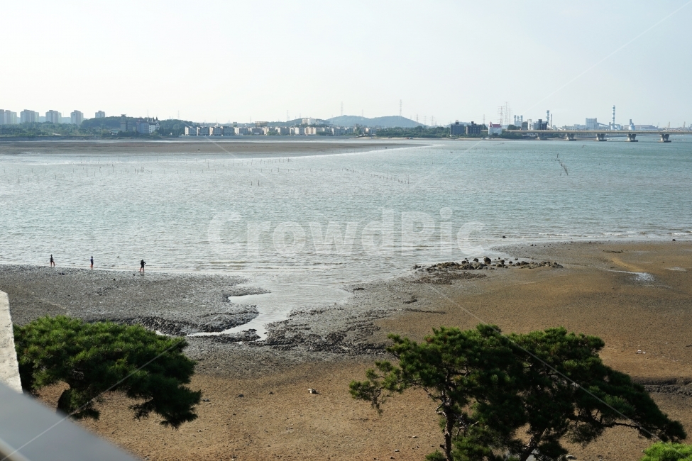 바다,강,다리,대교,소나무,나무,sea,ocean,river,beach,pinetree,pine,바닷가,강가,riverside,bridge,tree,trees,푸른,하늘,sky,sunny,맑은,날씨,weather,여행,trip,travel,travelling,풍경,배경,배경사진,풍경사진,평화로운,분위기,차분한,차분함,평화로움,scene,atmosphere,calm,peaceful,tranquil,still,background,journey,tour,structure,배경화면,cloud,구름,quiet,active,감성사진,ambience,자연,풍경,nature,landscape,한국자연풍경,한국자연경관,korea nature landscape,해변,바다,beach,sea,water,물,outdoors,옥외,ground,바닥