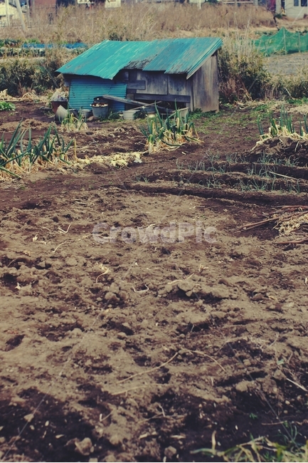 창고,농사,시골,warehouse,country,farming,밭,field,japan,일본,일본시골,시골,마을,풍경,landscape,country,rural,town,산업,industry,industrial,농업,농사,agriculture,farming,farming industry