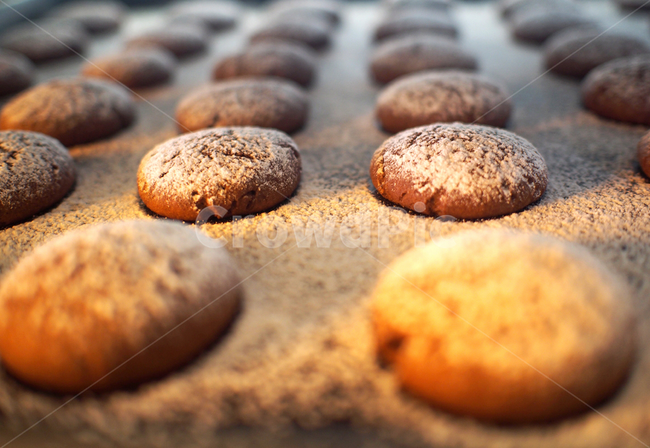 베이커리,쿠키,비스킷,스노우파우더,bakery,cookie,빵,bread