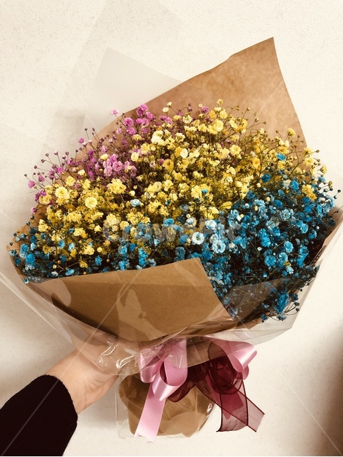 안개꽃,꽃,꽃다발,flowers,안개꽃꽃다발,석죽과,원예,생화,꽃,flower,기념일,축하,anniversary,congratulation,celebrate,celebration