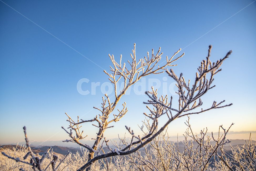 설산,태백산,겨울산,겨울,상고대,풍경,산,겨울풍경,눈꽃,겨울,계절,winter,season,자연,풍경,nature,landscape