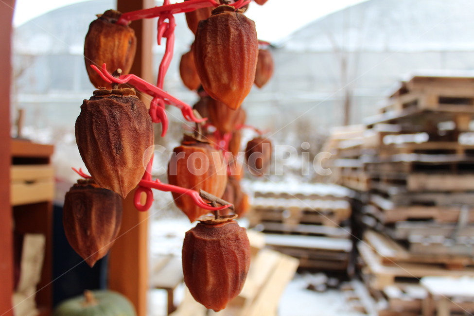 곶감,가을,간식,겨울,건조,시골,시골집,음식,식재료,요리,food,cook,meal,dishes,food reserves,과일,열매,fruit