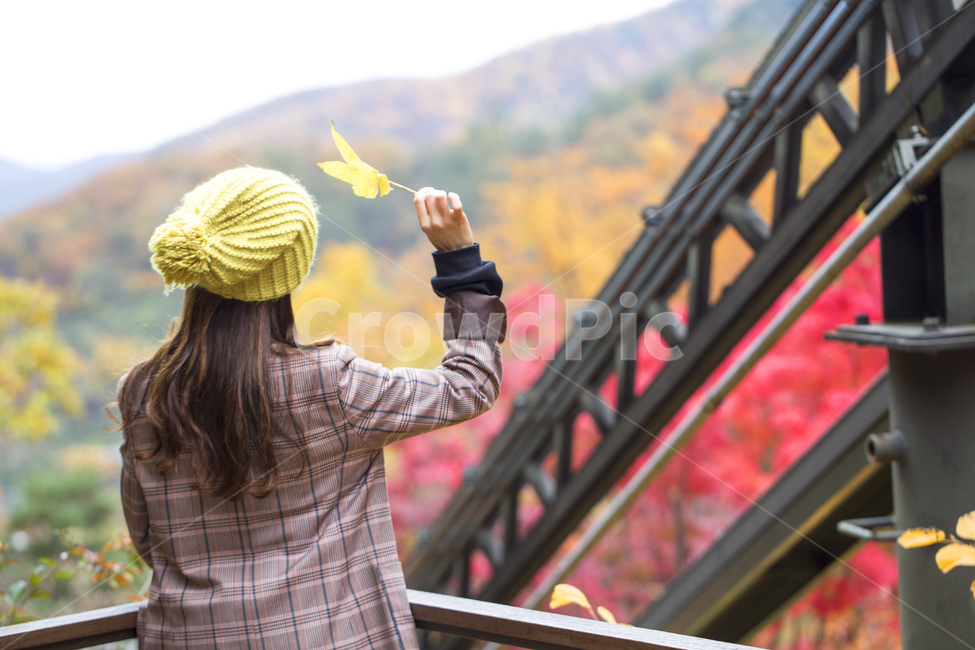 단풍,낙엽,가을,단풍잎,단풍놀이,단풍구경,단풍숲,화담숲,숲,자연,계절,알록달록,뒷모습,나뭇잎,가을,계절,fall,autumn,season,사람,인물,인간,human,person,여성,여자,woman,female,lady
