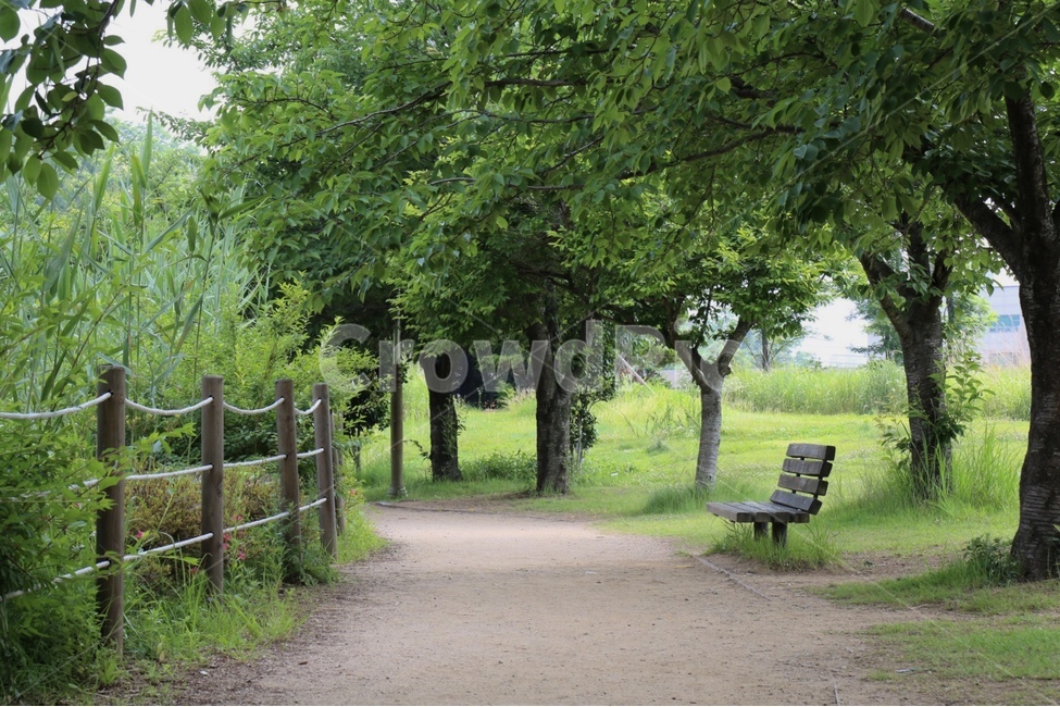 나무벤치,의자,공원,산책,산책로,힐링,시원함,맑음,여유,여유로움,한적,한적함,휴식,데이트,데이트장소,감성,emotion,창원,조용한곳,편안한곳,rest,healing,relax,자연,풍경,nature,landscape,휴식,힐링,rest,relaxation,healing,bench,벤치