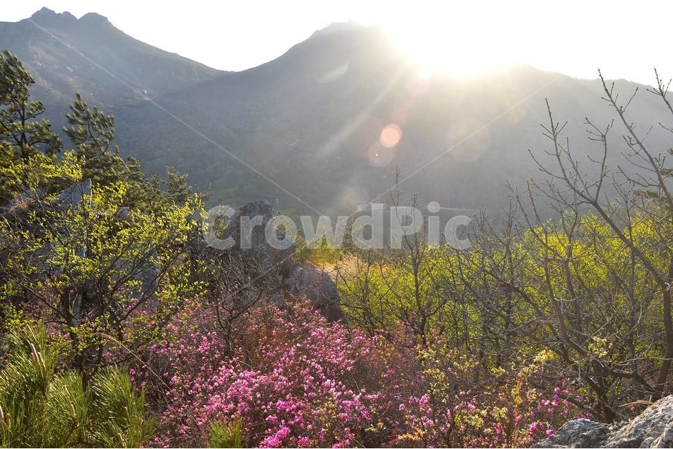 주작산,덕룡산,종주,진달래,풍경,기암,바위,비경,봄풍경,진달래꽃,강진,명산,산행,등산,마운틴,힐링,mountain,landscape,자연,natural,자연,풍경,nature,landscape,한국자연풍경,한국자연경관,korea nature landscape,휴식,힐링,rest,relaxation,healing,flare,플레어,light,빛