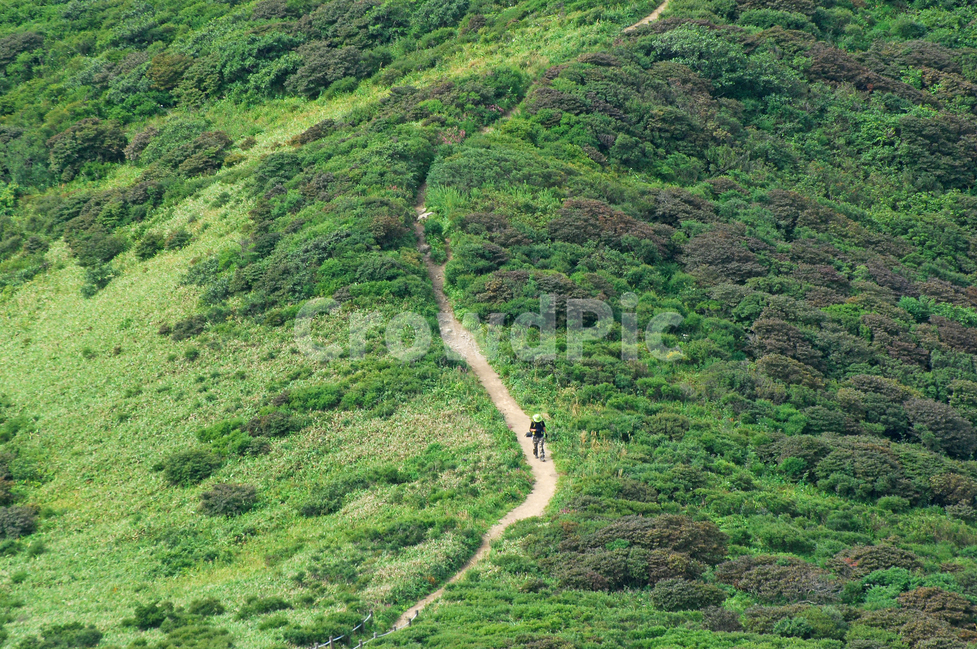 산,등산,등산객,그린,자연,풍경,길,산길,등산로,레저,운동,사람,자연,풍경,nature,landscape,사람,인물,인간,human,person,outdoors,옥외,경치,scenery