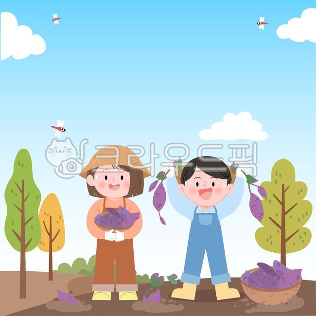 고구마캐기,고구마체험,고구마,고구마체험농장,고구마농사,가을수확,가을,농산물,뿌리채소,고구마밭,수확체험,농사체험,텃밭,고구마농장,고구마캐기체험,고구마수확,가을활동,가을농촌,농촌체험