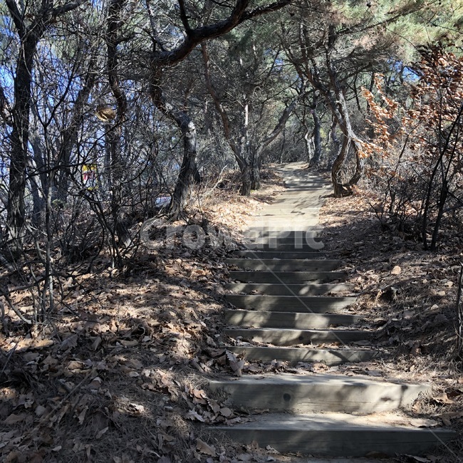 등산,산,산길,등산로,나무,나무길,풍경,봄,화창한,맑은