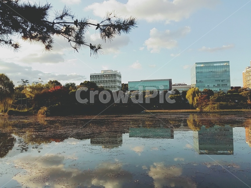 호수,하늘,구름,물에비친,비치다,풍경,나뭇가지,나무,가로수,여유,가을,lake,도시,풍경,city,landscape,nature,자연,outdoors,옥외,land,땅,water,물