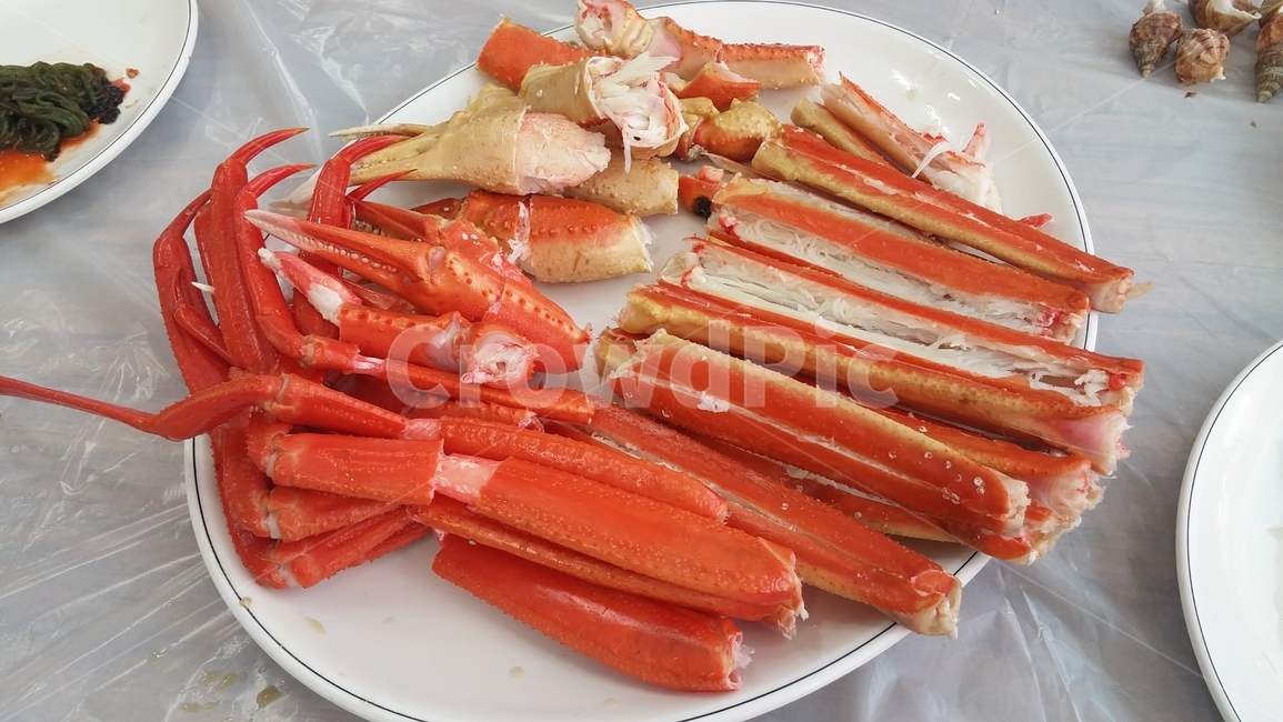영덕대게,영덕,대게,맛집,식당