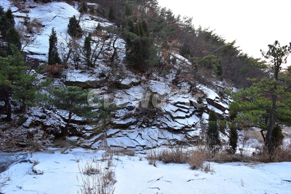 관악산,풍경,겨울,자연,눈,스포츠,등산,산행,nature,snow,겨울풍경,느낌,아름다운,신비로운,경이로운,기암,바위,암봉,암릉,다큐,필,힐링,명산,landscape,winter,season,트레킹,100대명산,인기명산,조망,전망,정부청사,6봉,수목원능선,바윗길,암릉길,명품송,소나무,명품코스,계곡,설경,겨울,계절,winter,season,자연,풍경,nature,landscape,한국자연풍경,한국자연경관,korea nature landscape,tree,나무,plant,식물,fir,전나무,abies,아비,conifer,구과 식물