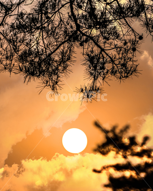 풍경,풍경사진,색감,노을,석양,해질녘,저녁,구름,감성,감성사진,nature,sunlight,햇빛,자연,outdoors,하늘,sky,옥외,자연,풍경,nature,landscape