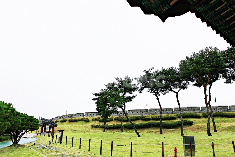 수원화성,성,성곽,길,둘레길,돌담,담,가을,자연,풍경,벽,방어벽,전통,식물,한국전통,한국문화,korean traditional,korean culture