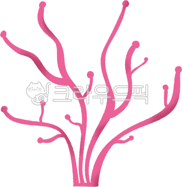 산호초, 바다, 해양생물, 해양식물, 물풀, 사진,이미지,일러스트,캘리그라피 - lily7891작가