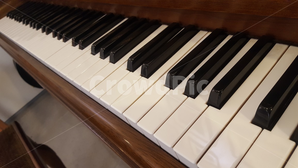 피아노,건반,음악,실용음악,악기,연주,음악회,악기,음향기기,musical instrument,musical equipment