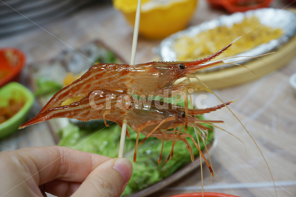 꽃새우,해산물,투명동물,shrimp,koreashrimp,속초