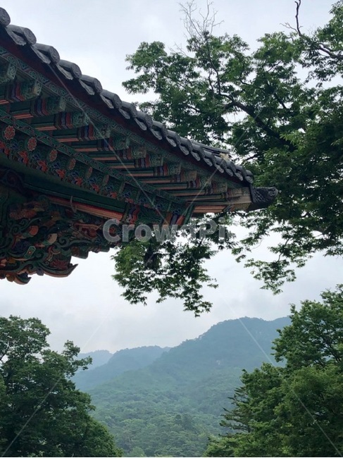 해인사,합천,절,단청,풍경,산,나무