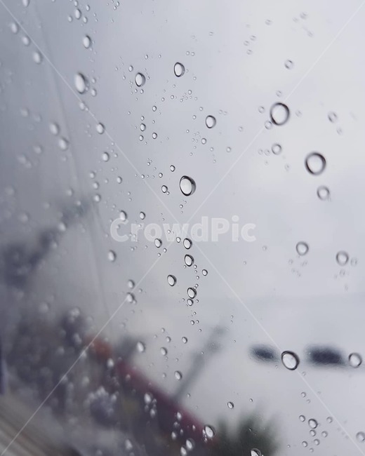 흐린하늘,빗방울,우산,비,노포커싱,비,비오는날,rain,rainy