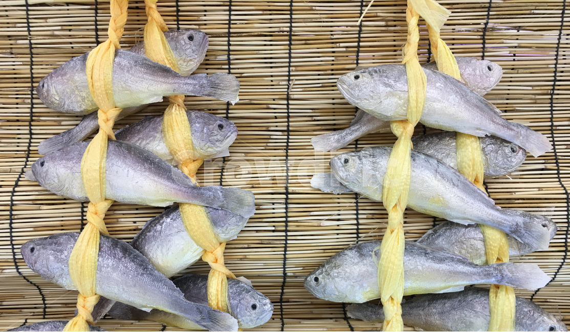 생선,물고기,굴비,조기,음식,해산물,수산물,해산품,수산품,식품,음식,식재료,요리,food,cook,meal,dishes,food reserves,수산물,해산물,fishery products,seafood