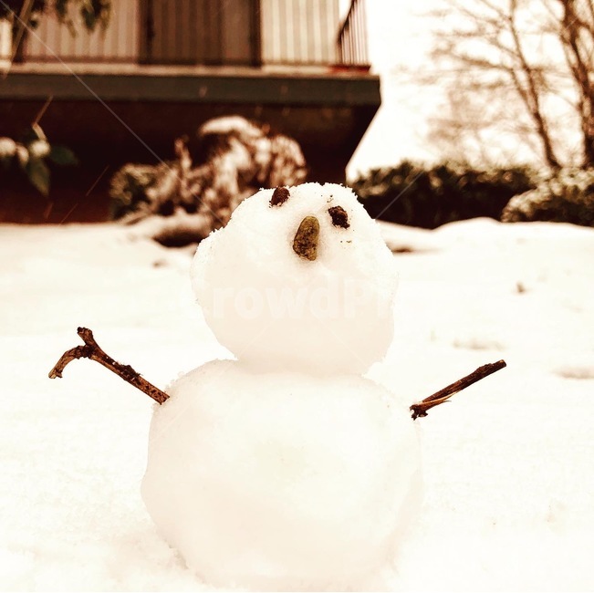 눈사람,눈,snowman,snow,겨울,winter,자연,nature,겨울,계절,winter,season