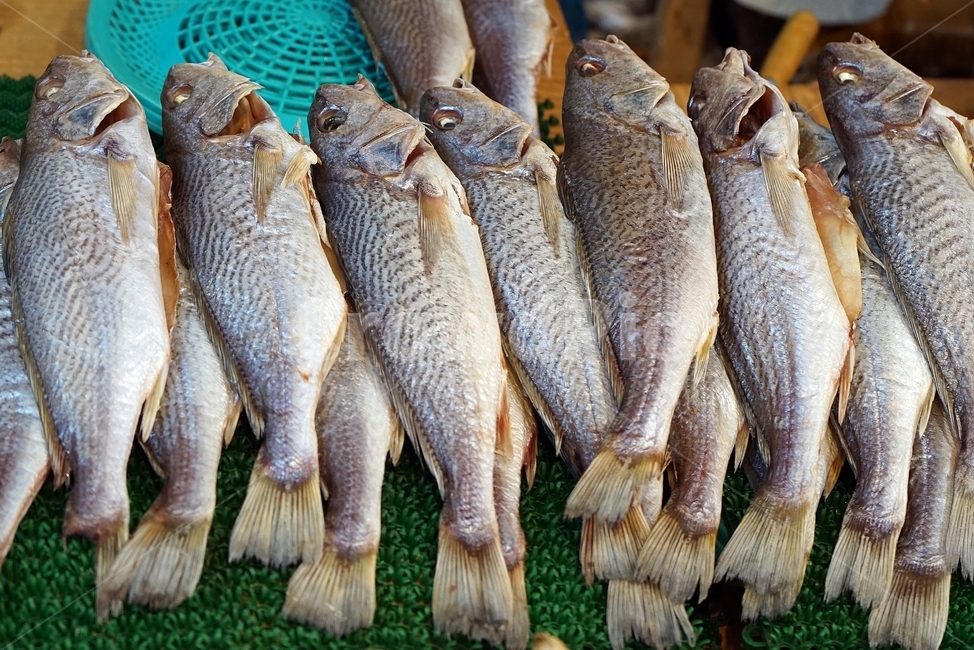 생선,요리,재료,반건조,바다,비린내,해산물,먹거리,fish,food,seafood,물고기,시장,음식,해물,수산물,생물,씨푸드,수산시장,해산물시장,한국장보기,쇼핑마켓,낚시,어업,식재료,신선한,신선,신선함,소금,건강,건강한,날것,자연,더미,무더기,죽은,맛있는,mackerel,market,fishing,fresh,시장,마트,마켓,market,mart,market place,음식,식재료,요리,food,cook,meal,dishes,food reserves,수산물,해산물,fishery products,seafood