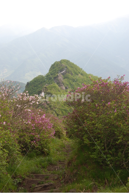 봄,산,꽃,자연,하늘,자연,풍경,nature,landscape,outdoors,옥외