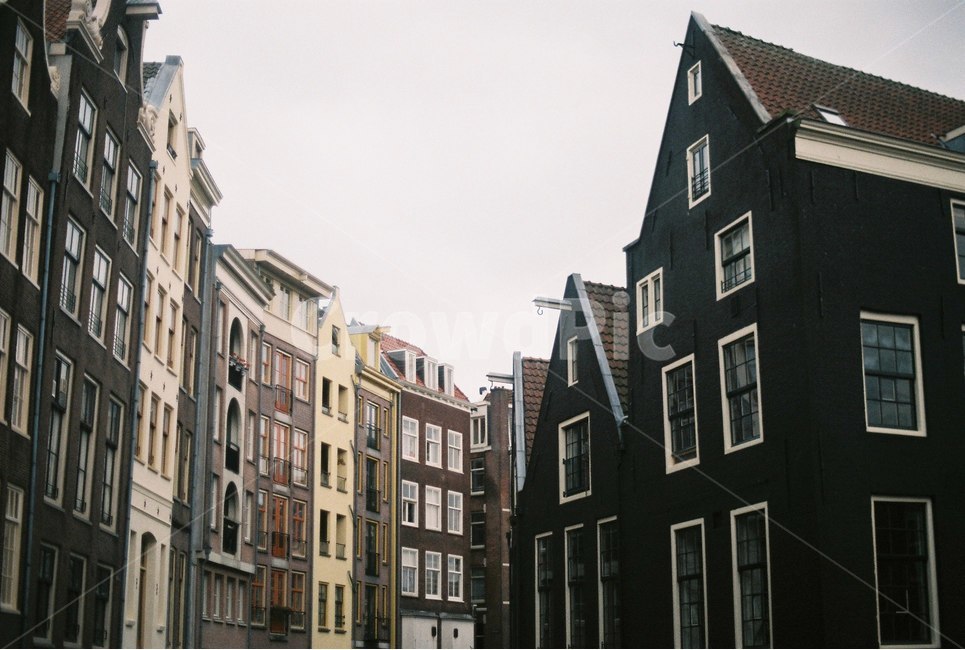 네덜란드,유럽풍,유럽건물,이국적,유럽,도시,풍경,city,landscape,해외,외국,세계,foreign,oversea,world,세계도시풍경,해외도시풍경,외국도시풍경,world cityscape,감성,sensible,feeling,high rise,고층 건물,building,건물,town,시티,urban,어반,apartment building,아파트