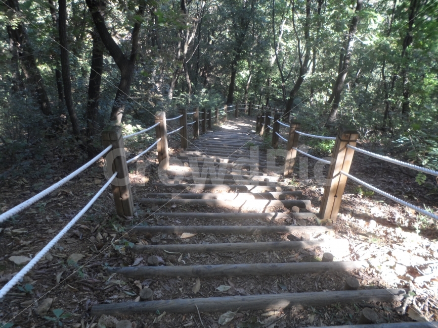 길,숲길,산책,고요,침묵,햇살,자연,풍경,nature,landscape